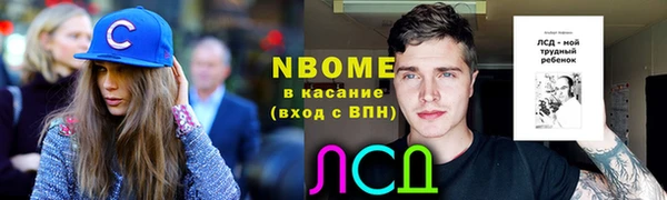 дмт Алзамай