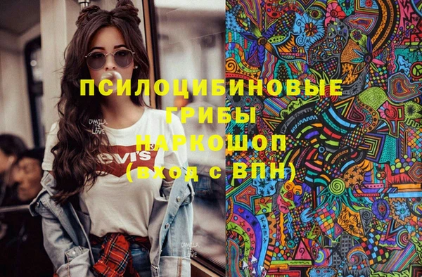 дмт Алзамай