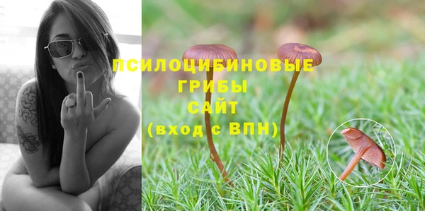 соль ск Алексин