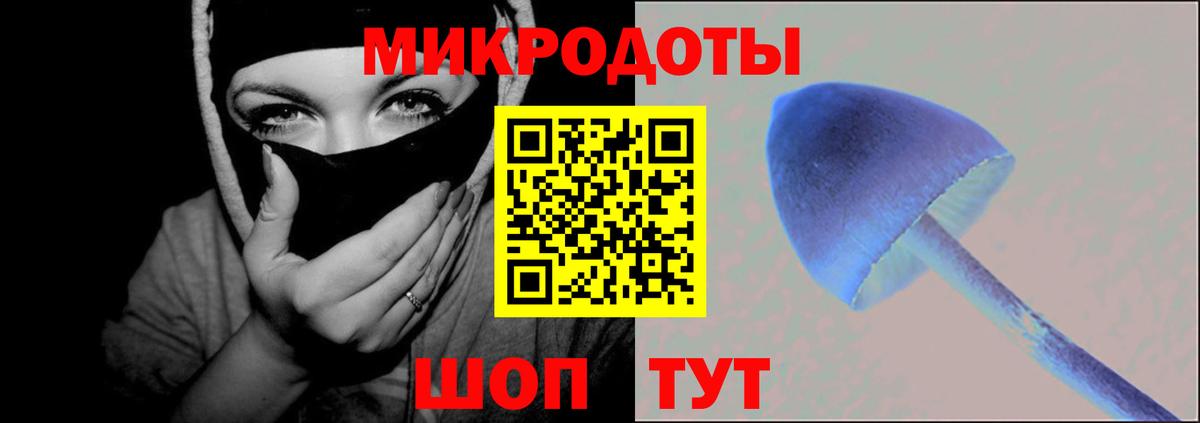 Галлюциногенные грибы Psilocybe Ухта